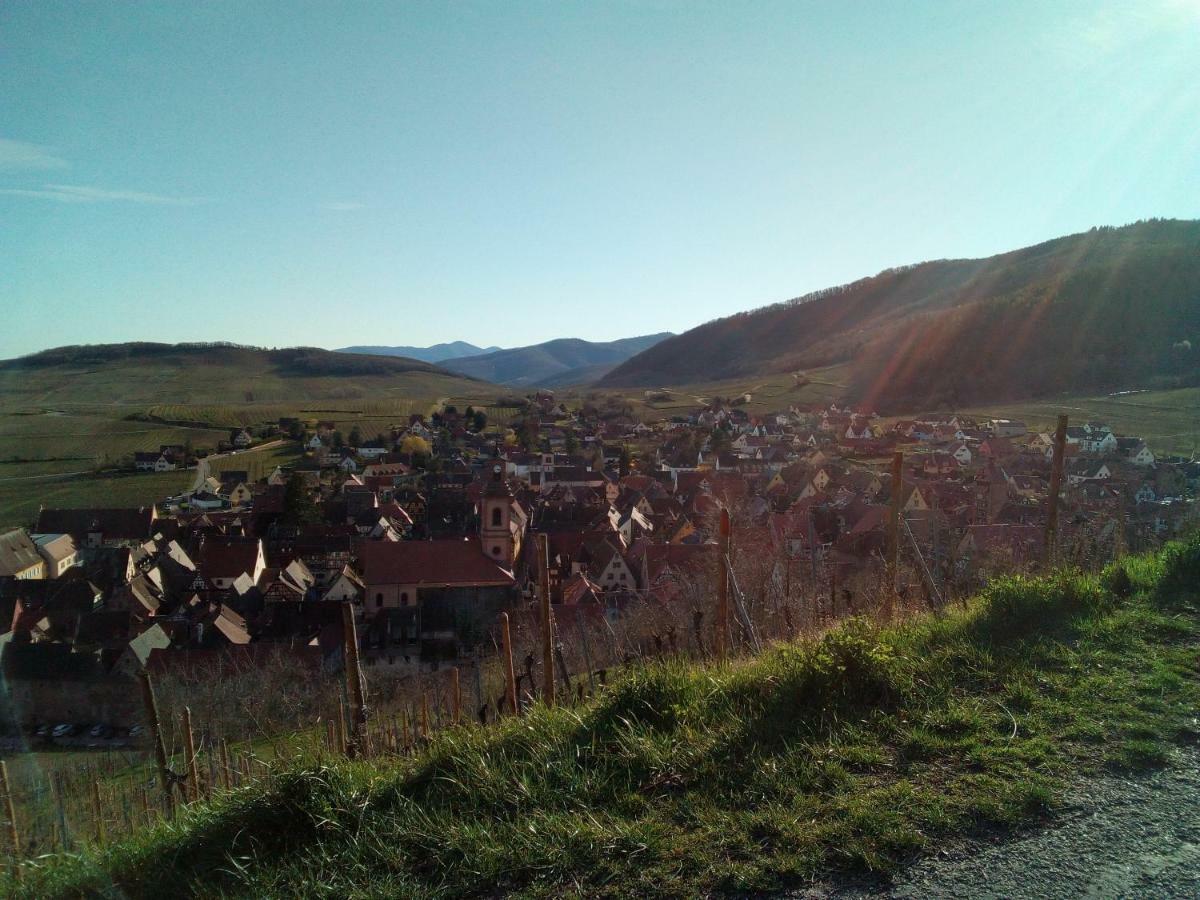 Le Gite De Coco Riquewihr Kültér fotó